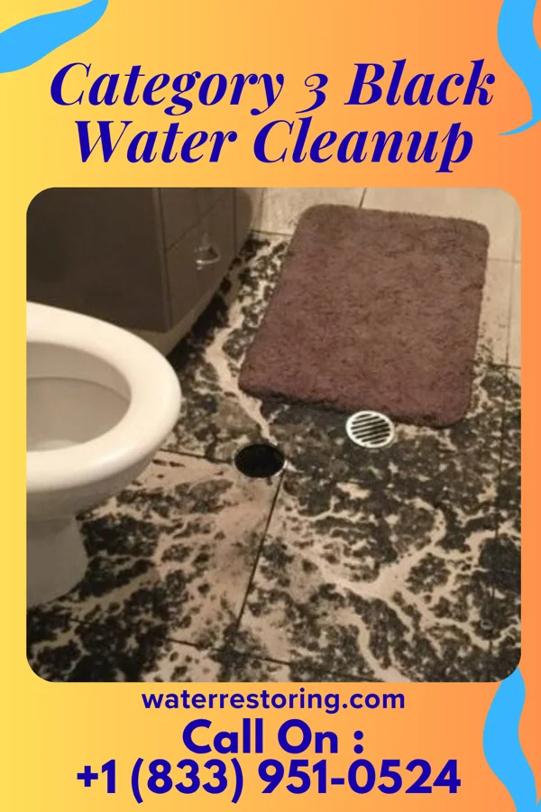 Category 3 Black Water Cleanup in Varna, IL