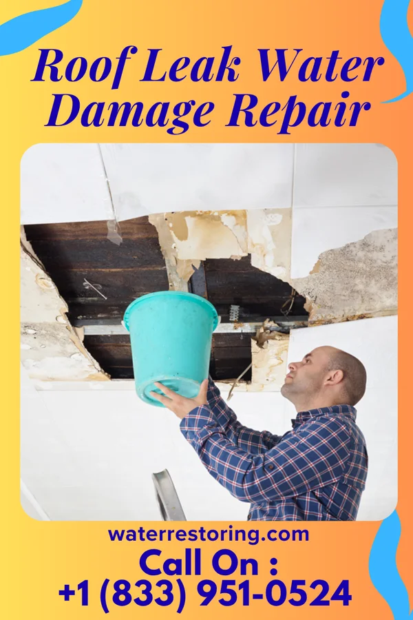 Roof Leak Water Damage Repair in Varna, IL